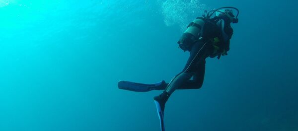 Diver - Sputnik International