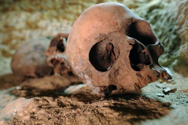 Skulls are seen inside the recently discovered burial site in Minya, Egypt February 24, 2018 Skulls are seen inside the recently discovered burial site in Minya, Egypt February 24, 2018 - Sputnik International