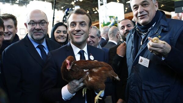 French President Emmanuel Macron holds a rooster as Agriculture Minister Stephane Travert (L) stands beside him, as they visit the 55th International Agriculture Fair in Paris, France, February 24, 2018 - Sputnik International