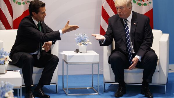 President Donald Trump meets with Mexican President Enrique Pena Nieto at the G20 Summit, Friday, July 7, 2017, in Hamburg. - Sputnik International