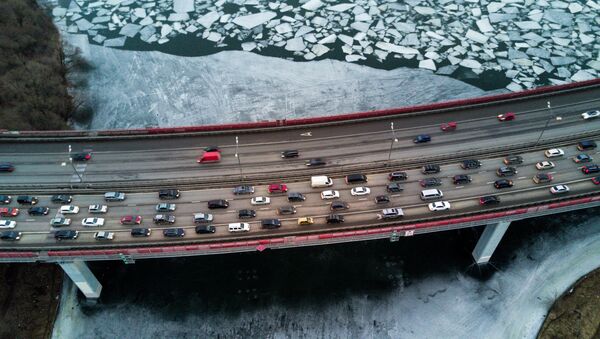 Ice on the Moskva River under the Zhivopisny bridge. - Sputnik International