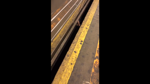 New York City man takes smoke break underneath subway platform - Sputnik International