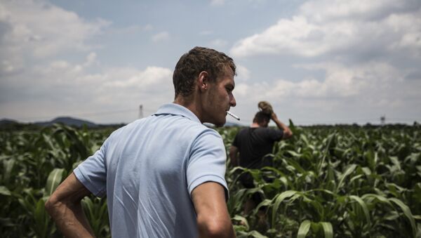 South African Farm owners. (File) - Sputnik International
