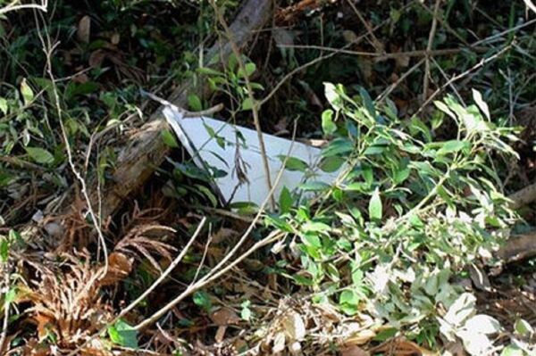 The piece of metal found in Narita The piece of metal found in Narita - Sputnik International