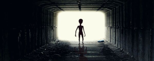 Our planet is a place which may hide an array of alien artefacts, with some of them possibly created by extinct civilisations which existed on Mars, Venus or even Earth itself, according to the latest NASA study - Sputnik International