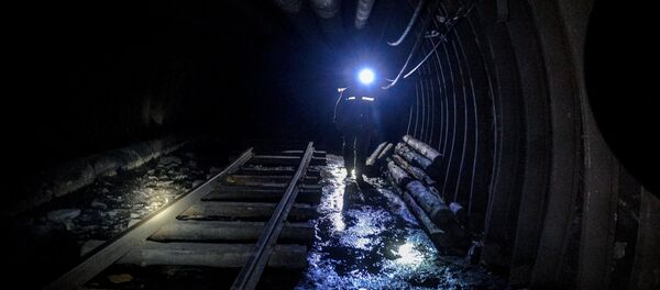 A miner (File) A miner (File) - Sputnik International