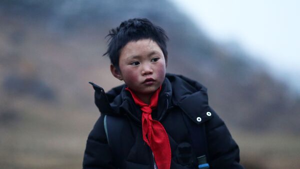 This photo taken on January 11, 2018 shows Wang Fuman, also known as Frost Boy, in Ludian in China's southwestern Yunnan province - Sputnik International