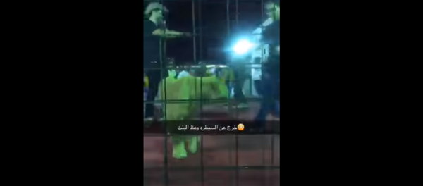 Lion attacks girl after trainer allows group of kids into enclosure - Sputnik International