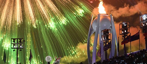 XII Winter Paralympics Opening Ceremony in Pictures - Sputnik International