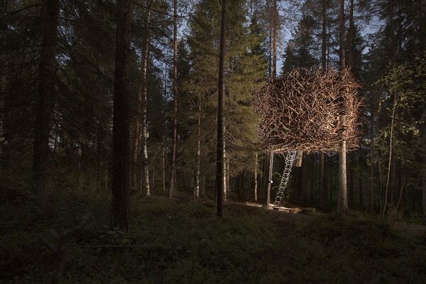 Treehotel, Harads, Sweden - Sputnik International