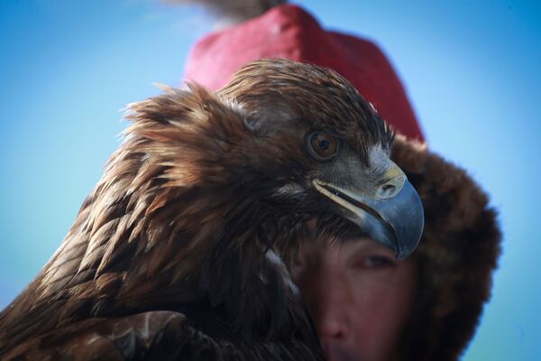 Mongolian Spring Golden Eagle Festival in Pictures - Sputnik International