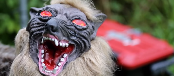 New 'Super Monster Wolf' robot gets enlisted to protect crops from wild boars in Japan New 'Super Monster Wolf' robot gets enlisted to protect crops from wild boars in Japan - Sputnik International