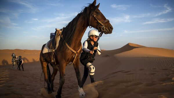 Desert Stallion Race ‘Gallops of Morocco’ Participants Endure Rough Conditions - Sputnik International