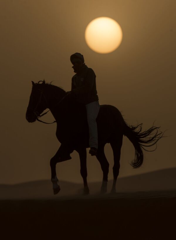 Desert Stallion Race ‘Gallops of Morocco’ Participants Endure Rough Conditions - Sputnik International