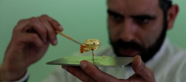 Portuguese chocolatier Daniel Gomes prepares a candy wrapped in pure 23 carat gold during international chocolate fair in Obidos Portugal, March 16, 2018 - Sputnik International