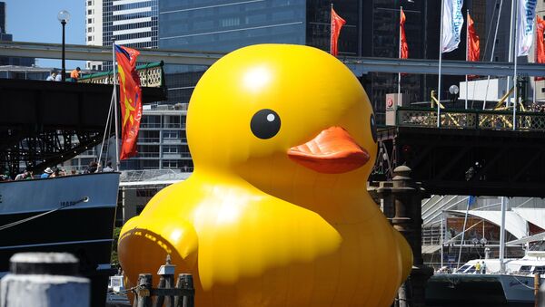A gigantic, yellow rubber duck is floated under the Pyrmont Bridge into Sydney's Darling Harbour on January 5, 2013 to kick off Sydney's annual arts festival, a celebration which combines high-art with popular entertainment - Sputnik International