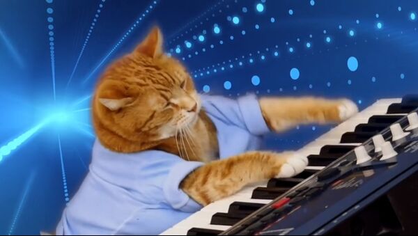 Keyboard Cat, Bento, A Tribute - Sputnik International
