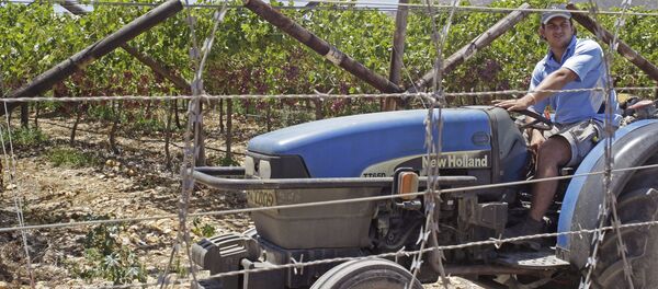 Farmer in South Africa. (File) - Sputnik International