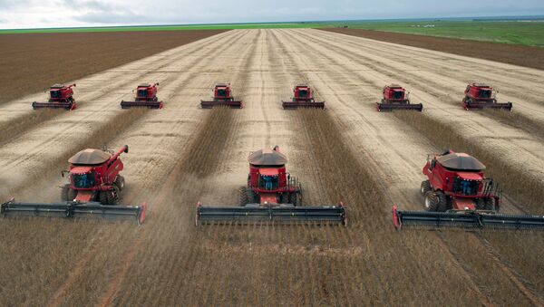 Combine harvesters crop soybeans. (File) - Sputnik International