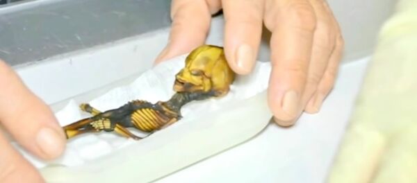 Atacama Mummy Atacama Mummy - Sputnik International