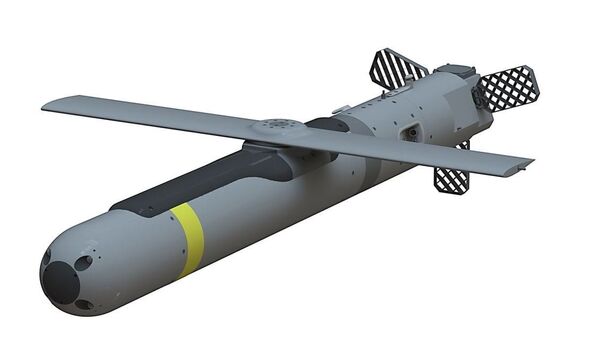 Artist's rendering of Small Glide Munition - Sputnik International