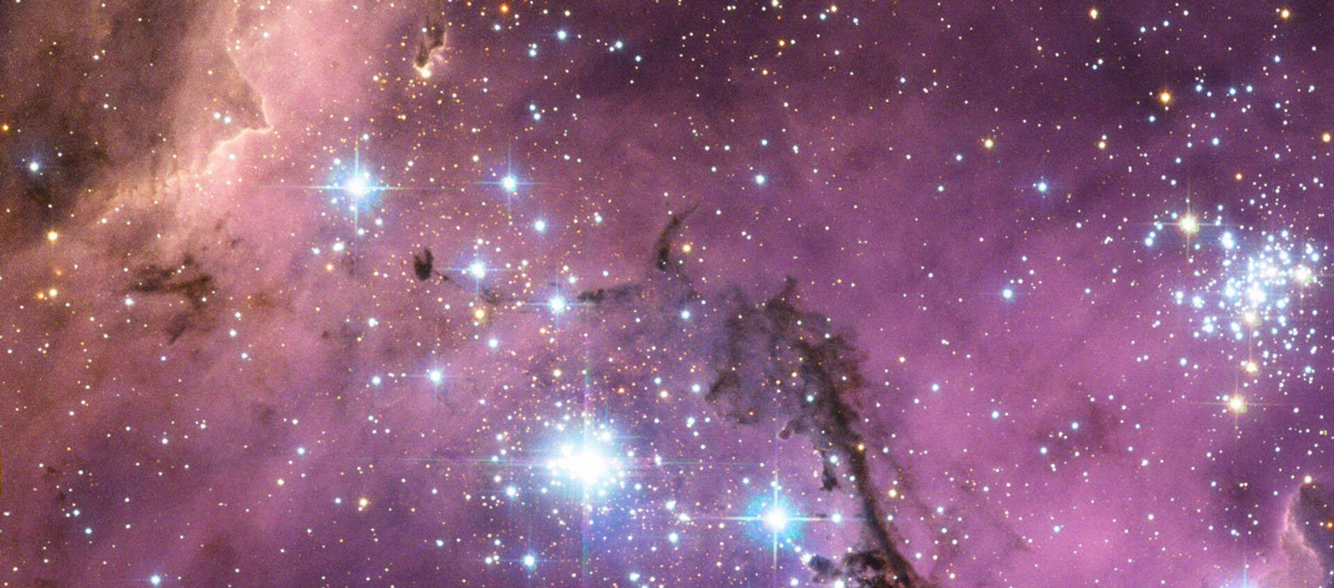 NASA image release 23 January 2013 Nearly 200,000 light-years from Earth, the Large Magellanic Cloud, a satellite galaxy of the Milky Way, floats in space, in a long and slow dance around our galaxy.  - Sputnik International, 1920, 30.05.2020