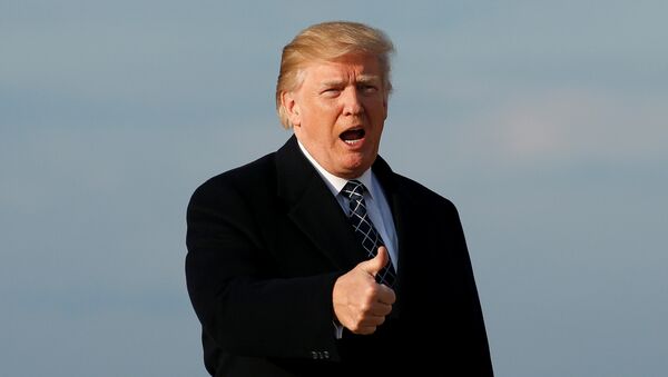 U.S. President Donald Trump gives thumbs-up as he returns from Palm Beach, Florida, at Joint Base Andrews in Maryland, U.S., March 25, 2018 - Sputnik International