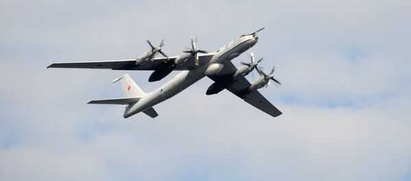 A TU-142 anti-submarine aircraft. File photo A TU-142 anti-submarine aircraft. File photo - Sputnik International