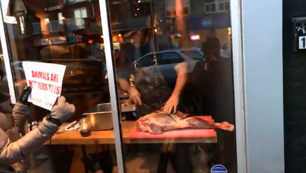 Antler restaurant owner carves up meat in front of animal rights activists - Sputnik International