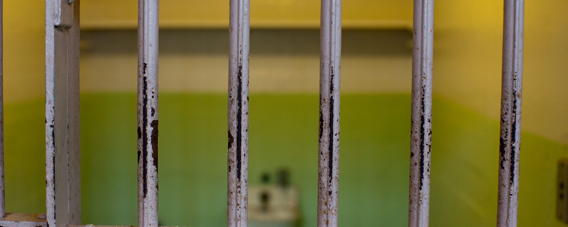 Las rejas de la cárcel (imagen referencial) - Sputnik International, 1920, 03.11.2021
