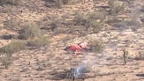 Hot air balloon goes down in Phoenix desert - Sputnik International