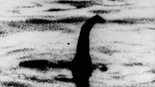 Shadowy shape that some people say is a photo of the Loch Ness monster in Scotland. (File) - Sputnik International