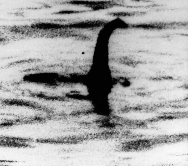 Eerie Creature ‘Size of a Large Seal' Reported Lurking in Loch Ness, Fuels 'Monster' Rumours - Sputnik International