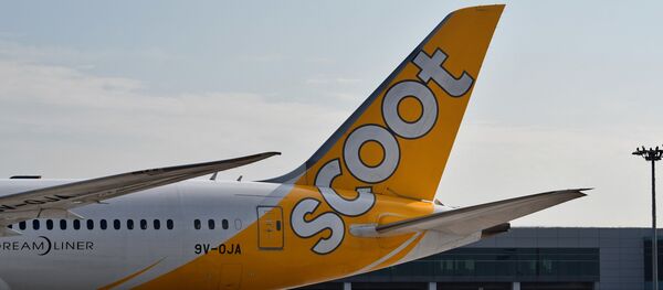 This photograph taken on March 28, 2018 shows the tail side of Scoot Airlines subsidiaries of Singapore Airlines (SIA) Boeing 787-900 aircraft at the terminal in Singapore Changi Airport This photograph taken on March 28, 2018 shows the tail side of Scoot Airlines subsidiaries of Singapore Airlines (SIA) Boeing 787-900 aircraft at the terminal in Singapore Changi Airport - Sputnik International