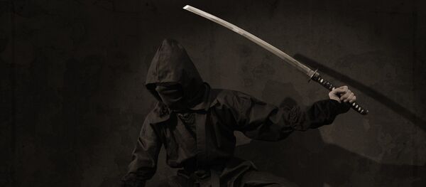 Ninja - Sputnik International