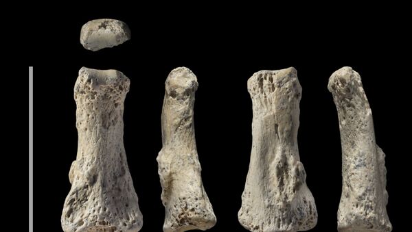 The single fossil finger bone of Homo sapiens - pictured from various angles - from the Al Wusta site, Saudi Arabia is pictured in this undated handout composite photo obtained by Reuters April 9, 2018 - Sputnik International