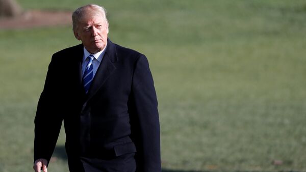 U.S. President Donald Trump walks as he returns to the White House after a trip to Lewisburg, West Virginia, in Washington D.C., U.S - Sputnik International