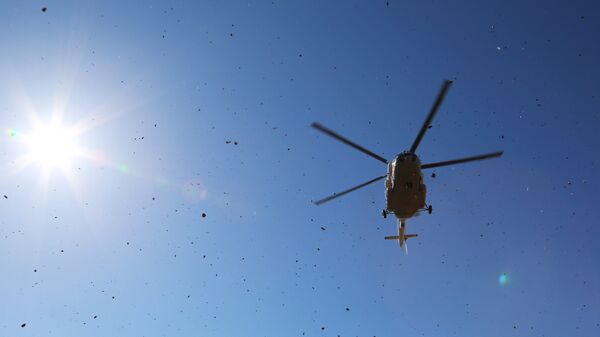 Mi-8 helicopter. File photo - Sputnik International