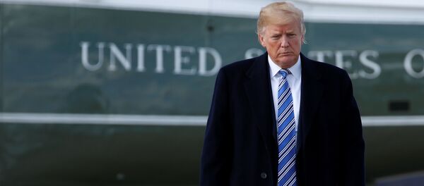 U.S. President Donald Trump walks to Air Force One as he departs for Palm Beach, Florida, from Joint Base Andrews in Maryland, U.S U.S. President Donald Trump walks to Air Force One as he departs for Palm Beach, Florida, from Joint Base Andrews in Maryland, U.S - Sputnik International