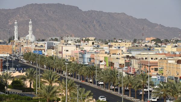 General view of the Saudi border city of Najran. (File) - Sputnik International