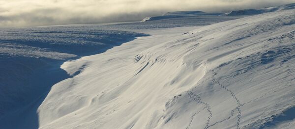 In this September 25, 2015 photo, animal tracks are seen in this aerial view of the Arctic landscape on Griffith Island is seen in the Canadian High Arctic In this September 25, 2015 photo, animal tracks are seen in this aerial view of the Arctic landscape on Griffith Island is seen in the Canadian High Arctic - Sputnik International