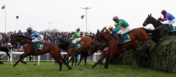 Horse Racing - Grand National Festival - Aintree Racecourse, Liverpool, Britain - Sputnik International