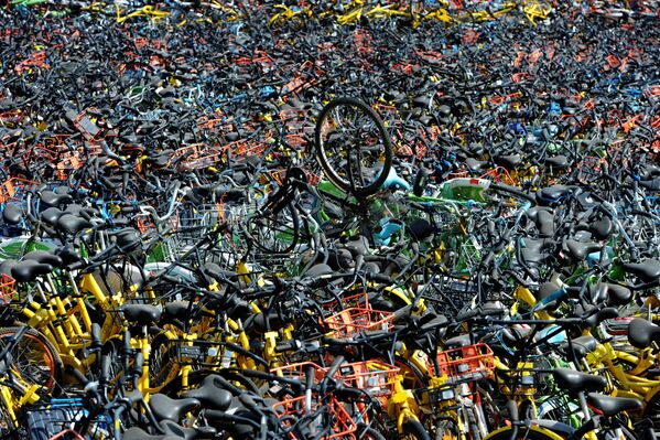 This Week in Pictures: April 7-13 - Sputnik International