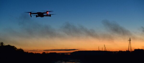 A quadcopter A quadcopter - Sputnik International