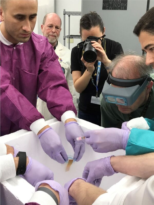 Sperm samples for the Micro-11 experiment arrived at NASA's Kennedy Space Center, in Florida, where the researchers prepared them for launch to the International Space Station Sperm samples for the Micro-11 experiment arrived at NASA's Kennedy Space Center, in Florida, where the researchers prepared them for launch to the International Space Station - Sputnik International