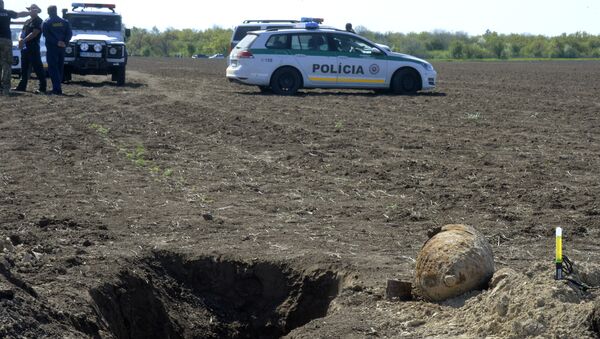 Unexploded World War II bomb lies on the field near the town of Sturovo, Slovakia - Sputnik International