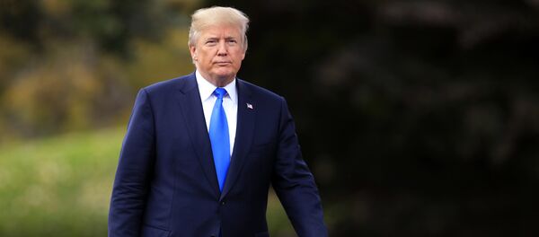 In this Friday, Oct. 13, 2017, file photo, President Donald Trump walks towards reporters on the South Lawn of the White House in Washington In this Friday, Oct. 13, 2017, file photo, President Donald Trump walks towards reporters on the South Lawn of the White House in Washington - Sputnik International