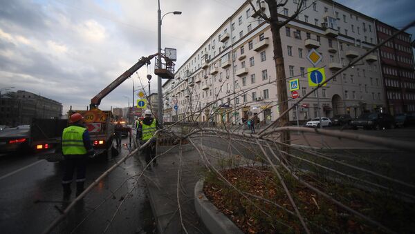 Consequences of the storm that hit Moscow on Saturday, April 21. - Sputnik International