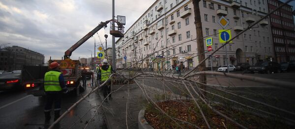 Consequences of the storm that hit Moscow on Friday, April 21. Consequences of the storm that hit Moscow on Friday, April 21. - Sputnik International