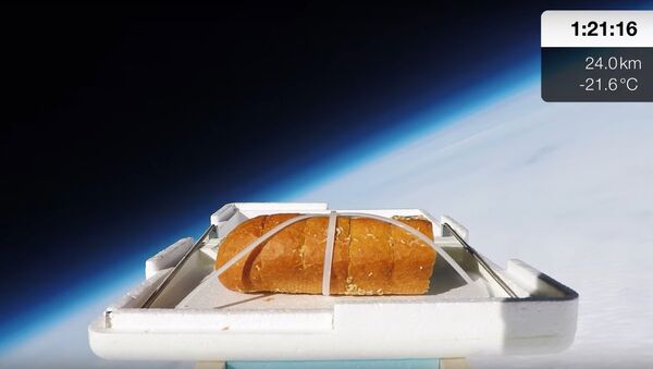 We Sent Garlic Bread to the Edge of Space, Then Ate It - Sputnik International